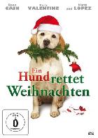 Ein Hund rettet Weihnachten