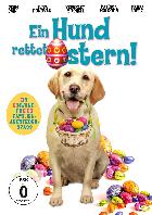 Ein Hund rettet Ostern