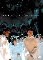 Angel Voices – Libera in Concert