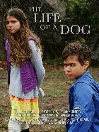The Life of a Dog