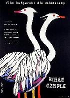 Vögel kehren zurück