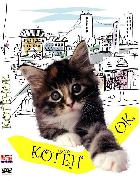 The Little Cat